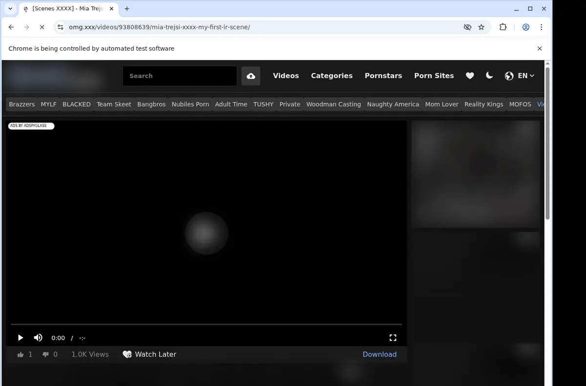 Omgxxx Video Downloader browser extension screenshot 2