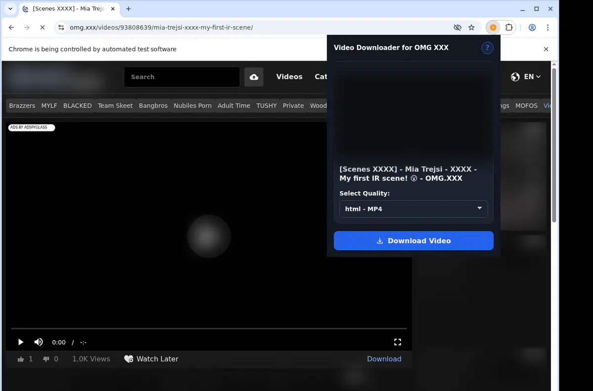 Omgxxx Video Downloader browser extension screenshot 3